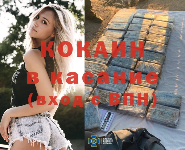 дживик Абаза