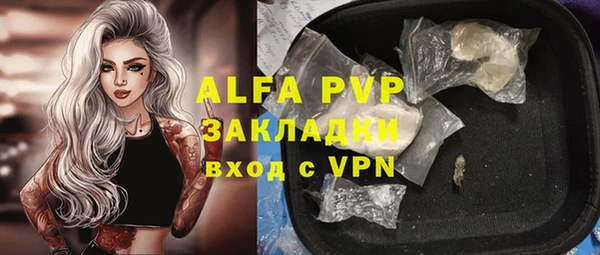сатива Абинск